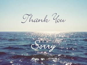 Thank you & Sorry