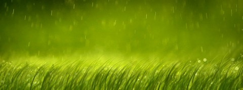 rain-on-grass-1